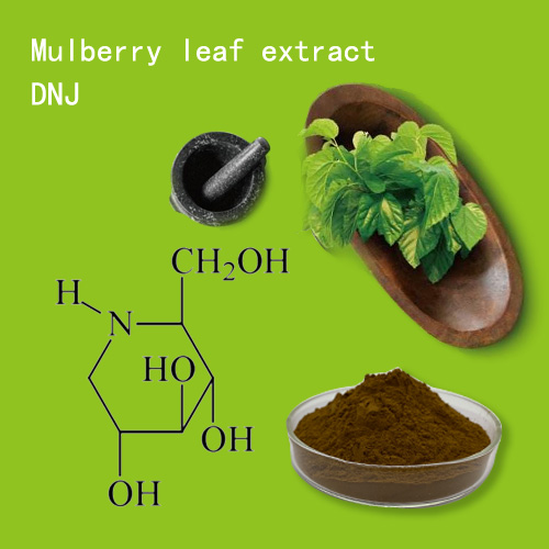 Mulberry leaf extract (DNJ)